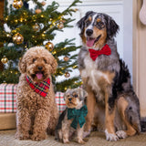 HOLIDAY TARTAN DOG PLAID BANDANA