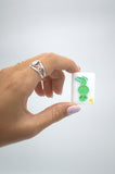 "Sunshine Tiles" FL Inspired Mahjong Set