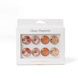 Glass Magnets, Box Set of 8 Floral Magnets: Primavera