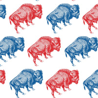 BUFFALO STAMPEDE GIFT WRAP