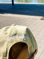CANAL TOWN - PITTSFORD NY CAP