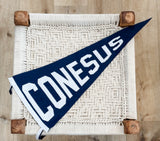 FINGER LAKES VARSITY PENNANTS