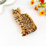 Leopard Cat Acetate Hair Claw Clip – Animal Print: Brown