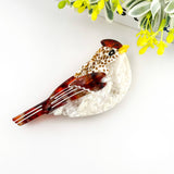 Cute Bird Acetate Hair Claw Clip–Whimsical Animal-Inspired: Brown