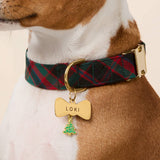 Highland Plaid Dog Collar: L