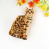 Leopard Cat Acetate Hair Claw Clip – Animal Print: Brown