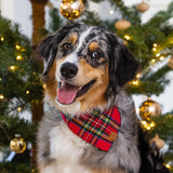 HOLIDAY TARTAN DOG PLAID BANDANA