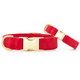 VELVET DOG COLLAR