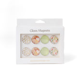 Glass Magnets, Box Set of 8 Floral Magnets: Primavera
