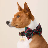Highland Plaid Dog Bow Tie: Small
