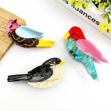 Swallow Hair Clip, Parrot Claw Clip: Parrot B